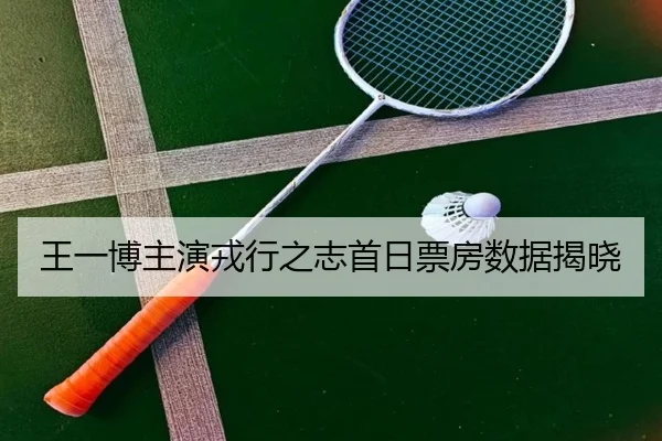 王一博主演戎行之志首日票房数据揭晓